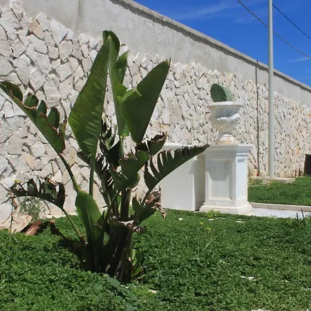 Casa Viky Pensión *